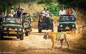 Ranthambore Safari Tour